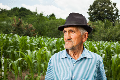 Photo: Senior farmer with a corn field in the background Senior farmer with a corn field in the background