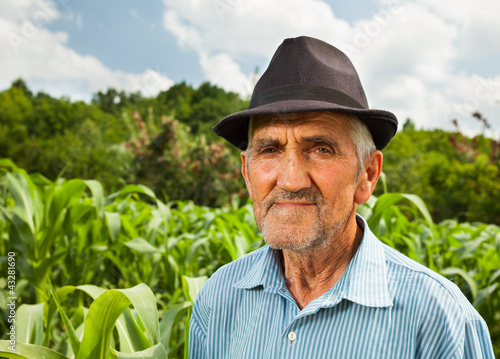 Photo: Senior farmer with a corn field in the background Senior farmer with a corn field in the background