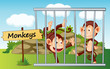 monkeys in cage