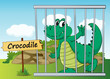 crocodile in cage
