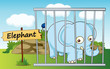elephant in cage