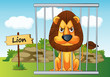 lion in cage