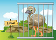 emu in cage