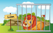 lion in cage