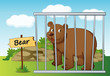 bear in cage
