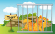 tiger in cage