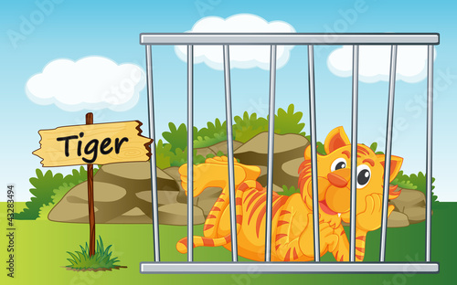 Vector: tiger in cage tiger in cage