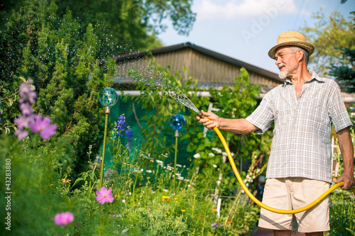 Photo: Watering of the garden Watering of the garden