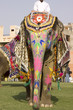 colorful elephant , Holi festival , Jaipur, Rajasthan, India