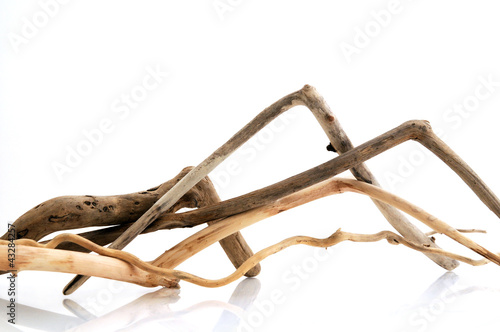 Photo: Bois flottés Bois flottés