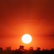 Photo: beautiful sunset beautiful sunset