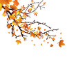 Herbstzeit