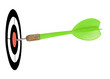 Photo: green dart green dart