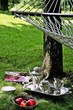 Picknick
