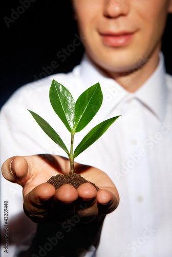 Photo: Grow a tree Grow a tree