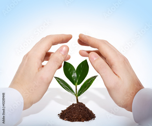 Photo: Growing in safety Growing in safety
