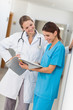 Smiling nurse and a doctor looking in a file