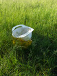 Construction helmets on a green lawn