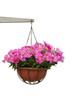 Hanging flowers