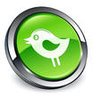 Tweety bird icon 3D green button