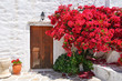 Traditional greek doors with red flowers in front