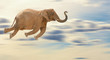 Flying Elephant