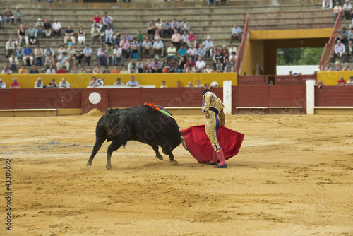 Photo: torero en acción torero en acción
