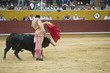 Torero toreando en una corrida típica española.