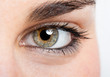 Eye close-up