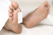 dead body
