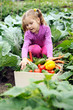 Photo: Little helper Little helper