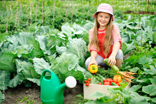 Photo: In the kitchen-garden In the kitchen-garden