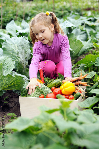 Photo: Little helper Little helper