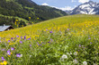 Kleinwalsertal in Österreich
