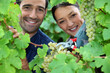 couple of wine-growers all smiles amid vineyards