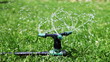Video: Close up Sprinkler water Close up Sprinkler water