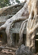siem reap cambodia temples