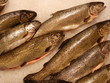 Markt Fisch