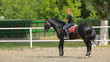 Video: Galopp Galopp
