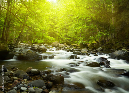 Photo: Mountain River in the wood Mountain River in the wood