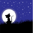 Vektor: background with cat and moon background with cat and moon