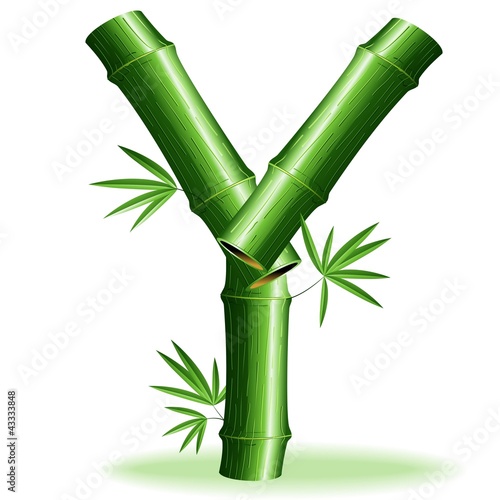 bamboo leaves vector free