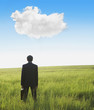 Middle Eastern businessman in field looking at cloud