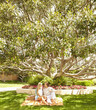 Caucasian couple having picnic