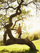 Caucasian teenager standing on tree branch