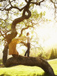 Caucasian teenager standing on tree branch