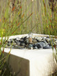 Modern pebble-filled water fountain