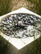 Modern pebble-filled water fountain