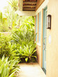 Door and windows of cottage