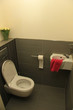 Toilet in shades of grey